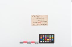 Etiketten zu Schleifstein (NHMW-PRAE-024255)